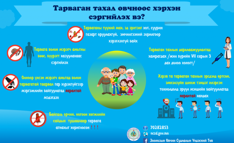 ТАРВАГАН ТАХЛААС СЭРГИЙЛЬЕ